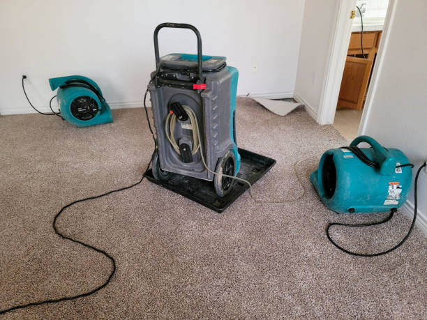 Best Commercial water damage restoration  in Hasbrouck Heights, NJ