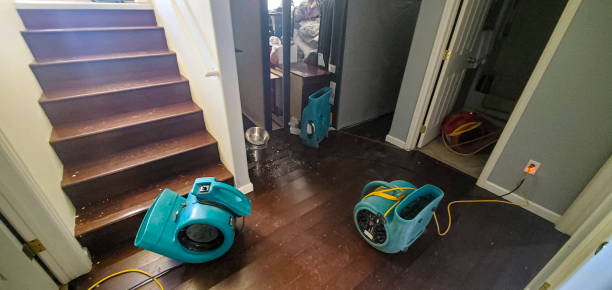 Professional Water damage restoration in Hasbrouck Heights, NJ
