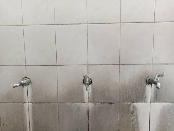 Best Water damage cleanup near me  in Hasbrouck Heights, NJ