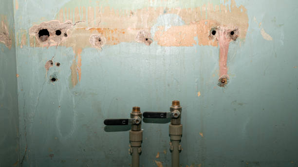 Best Water damage restoration near me  in Hasbrouck Heights, NJ