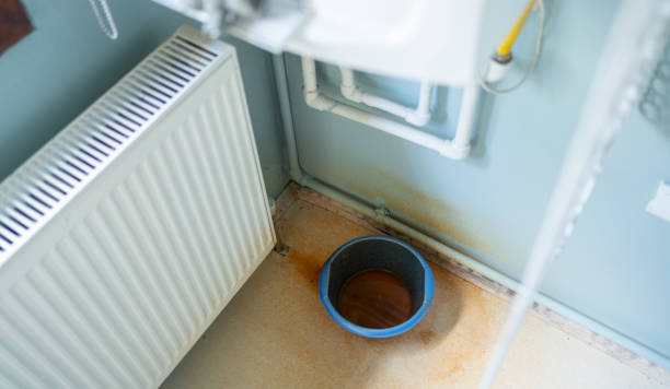 Best Sewage cleanup and water damage restoration  in Hasbrouck Heights, NJ