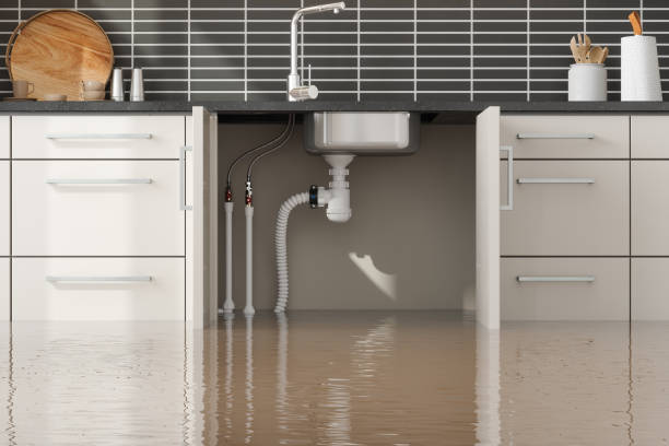 Best 24/7 water damage repair  in Hasbrouck Heights, NJ