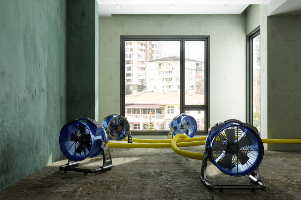 Best Carpet water damage restoration  in Hasbrouck Heights, NJ