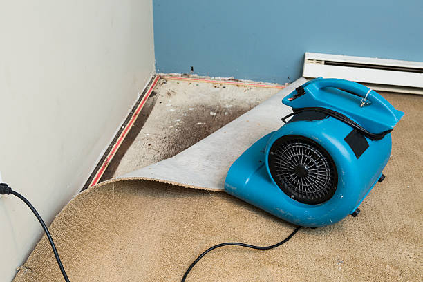 Best Flooded house restoration  in Hasbrouck Heights, NJ